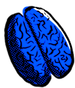 Learn — Tutorials & Courses